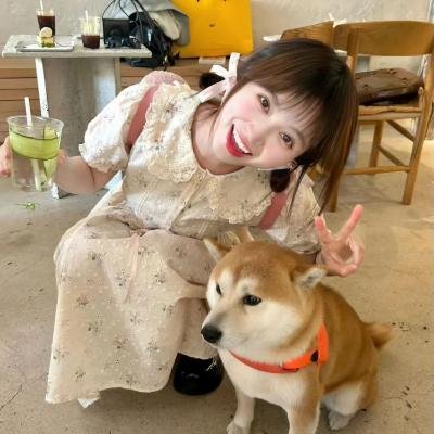 坐推土机的少女